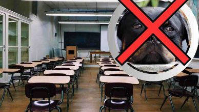 Circolare anti animali a scuola