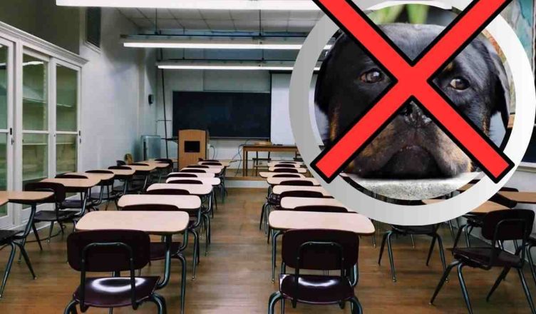 Circolare anti animali a scuola