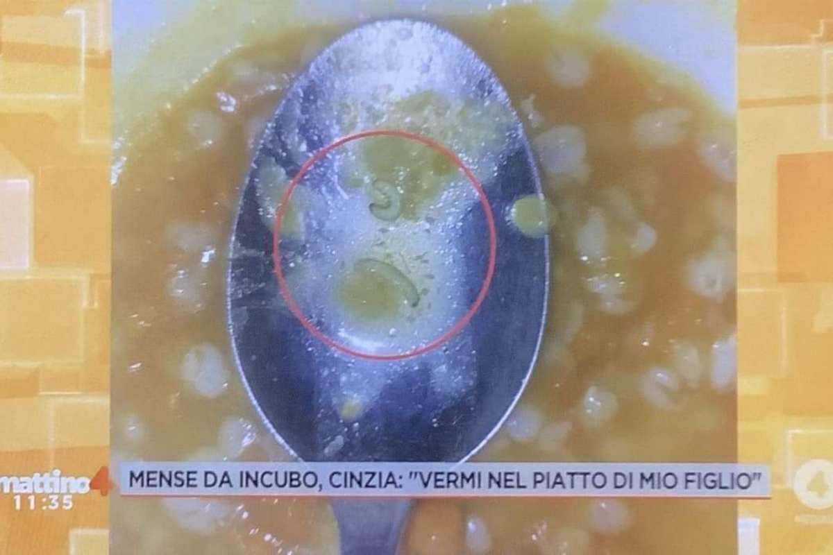 Zuppa larve a Mattino 4